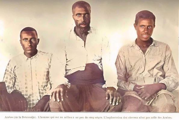 amp; DOBRUCA’NIN SON ARAPLARI