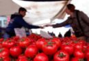 Türkiye’nin beş gün süren, domates ihracatı yasağı Bulgaristan’ı korkuttu